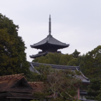 Japan2015Kyoto122 Ninnaji temple